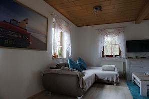 Smart TV, fireplace, table tennis, books