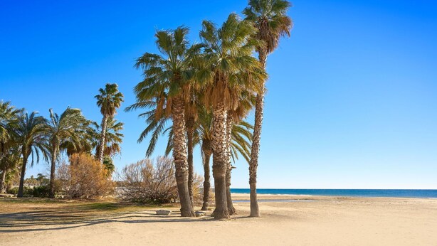 Strand