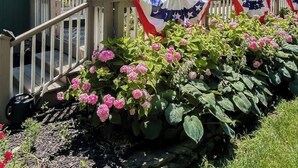 Une maison verte avec un porche, un drapeau et des fleurs roses.