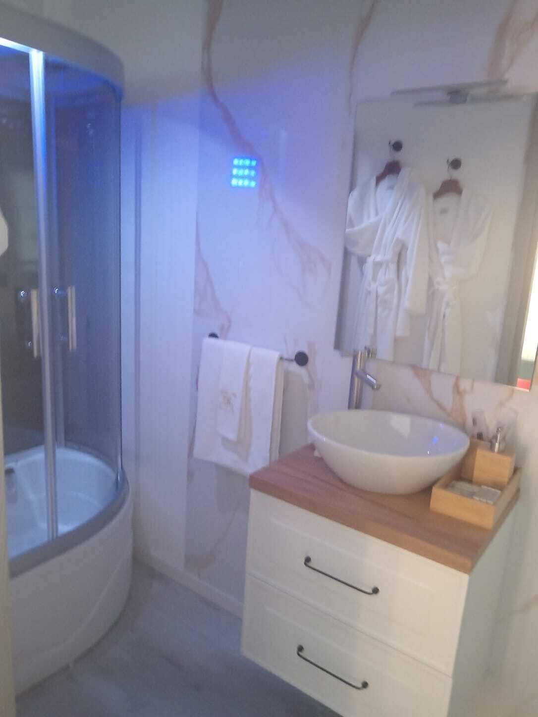 Junior-Studiosuite | Badezimmer | Dusche, Regendusche, kostenlose Toilettenartikel, Haartrockner