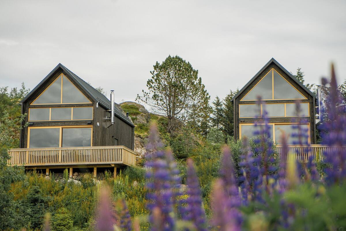 Two modern cabins with large windows, wooden decks, and surrounded by natural vegetation.