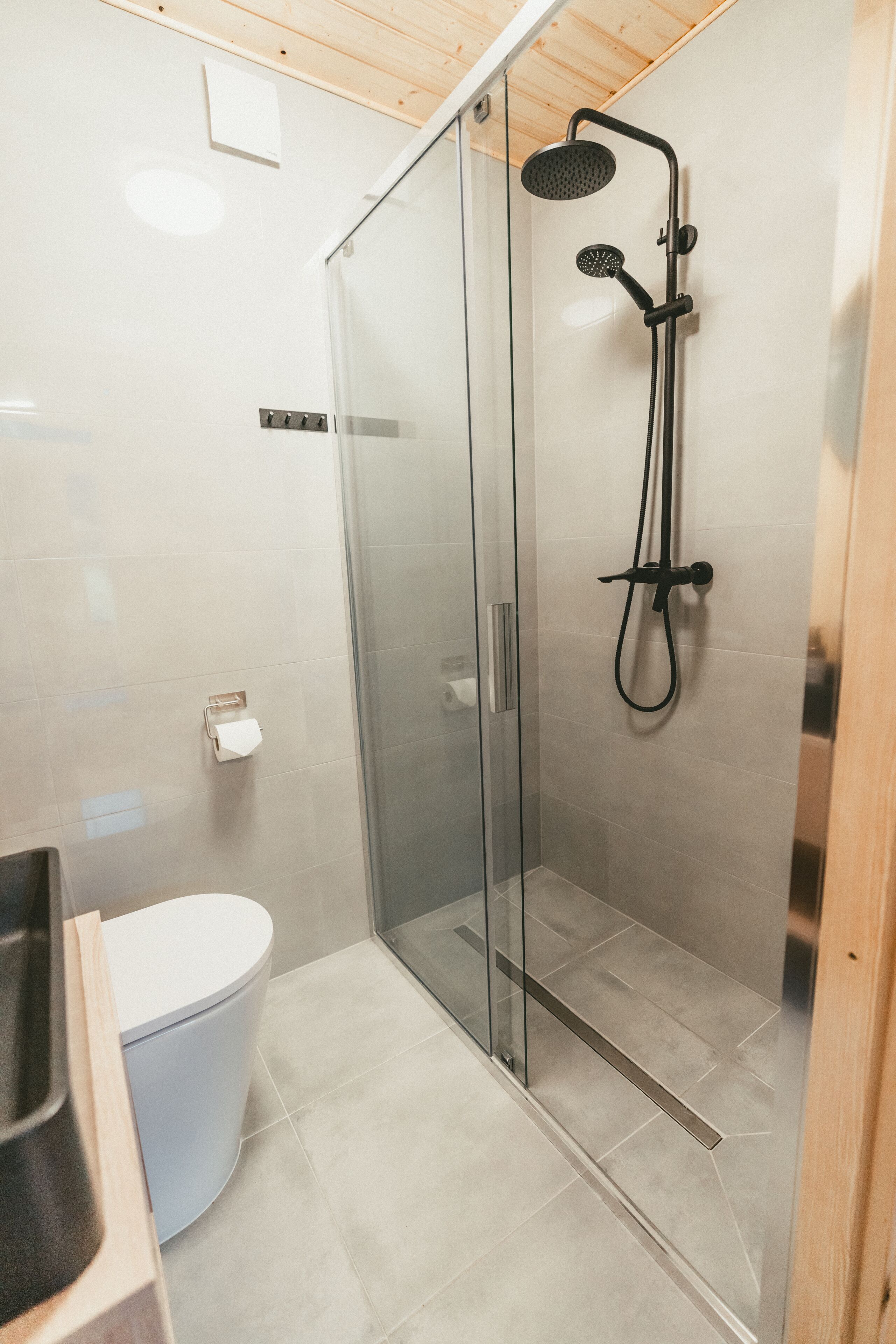 A modern bathroom with a glass shower enclosure, a toilet, and a sink.