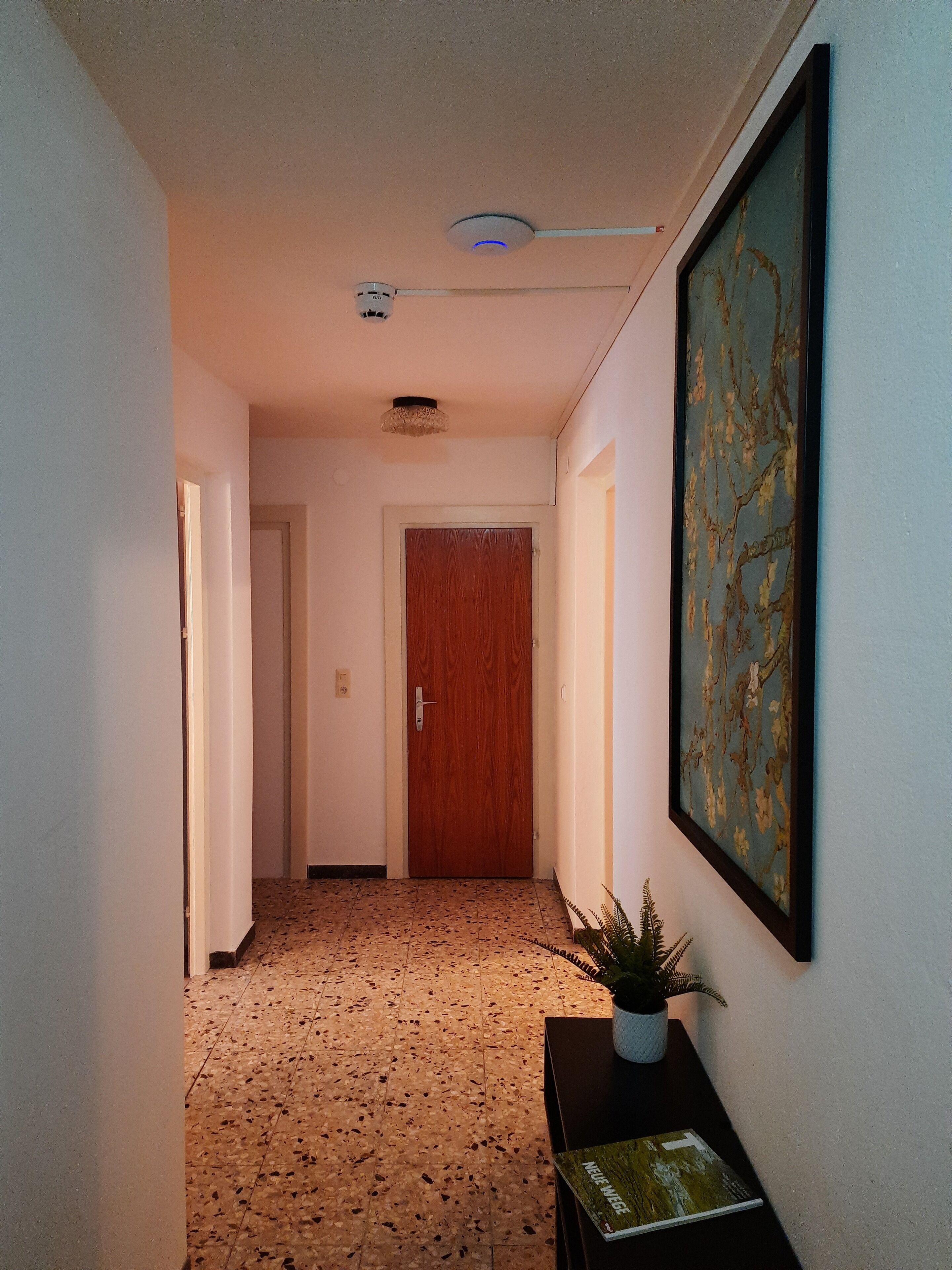 A hallway with a wooden door at the end, a framed artwork on the wall, and a small table with a plant and a book.