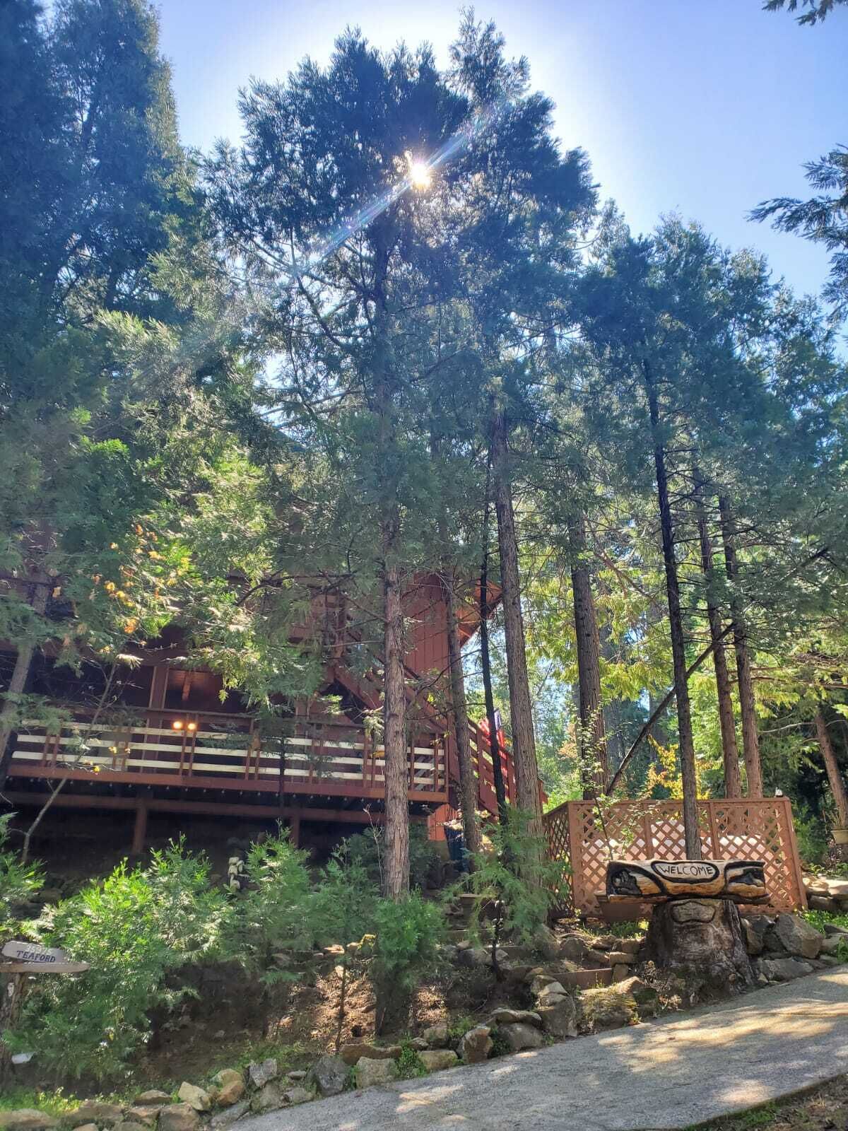 A forested area with a wooden cabin and a 'Welcome' sign.