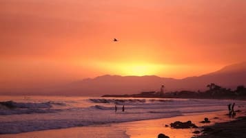 Sun loungers, beach towels