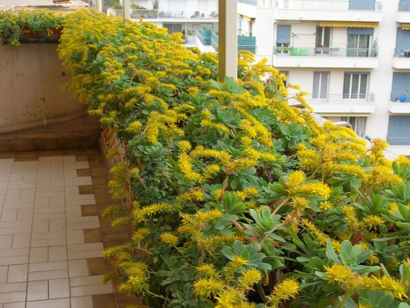 Property grounds - Sunny and Cosy Apartment Located in Nice, With a Large Private Terrace (Nice)