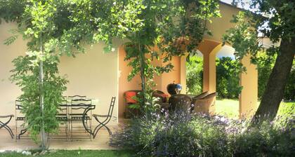 Cozy Villa in Saint-cézaire-sur-siagne With Swimming Pool