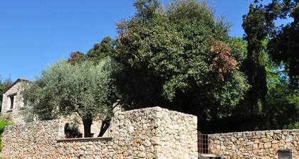 Peaceful Holiday Home With Swimming Pool in Vence