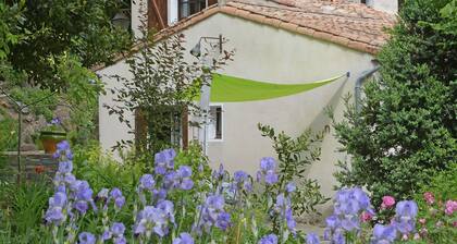 Beautiful House With Beautiful Flower Garden: a Haven of Peace