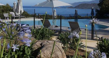 Charming Chalet Among the Trees and Scrublands in Corsica