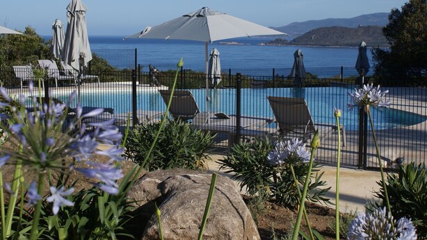 Outdoor pool - Charming Chalet Among the Trees and Scrublands in Corsica (Calcatoggio)