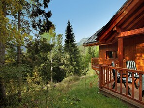 Unclassified image, 2 of 27, button - Luxurious Chalet in Oz With Terrace (Oz)