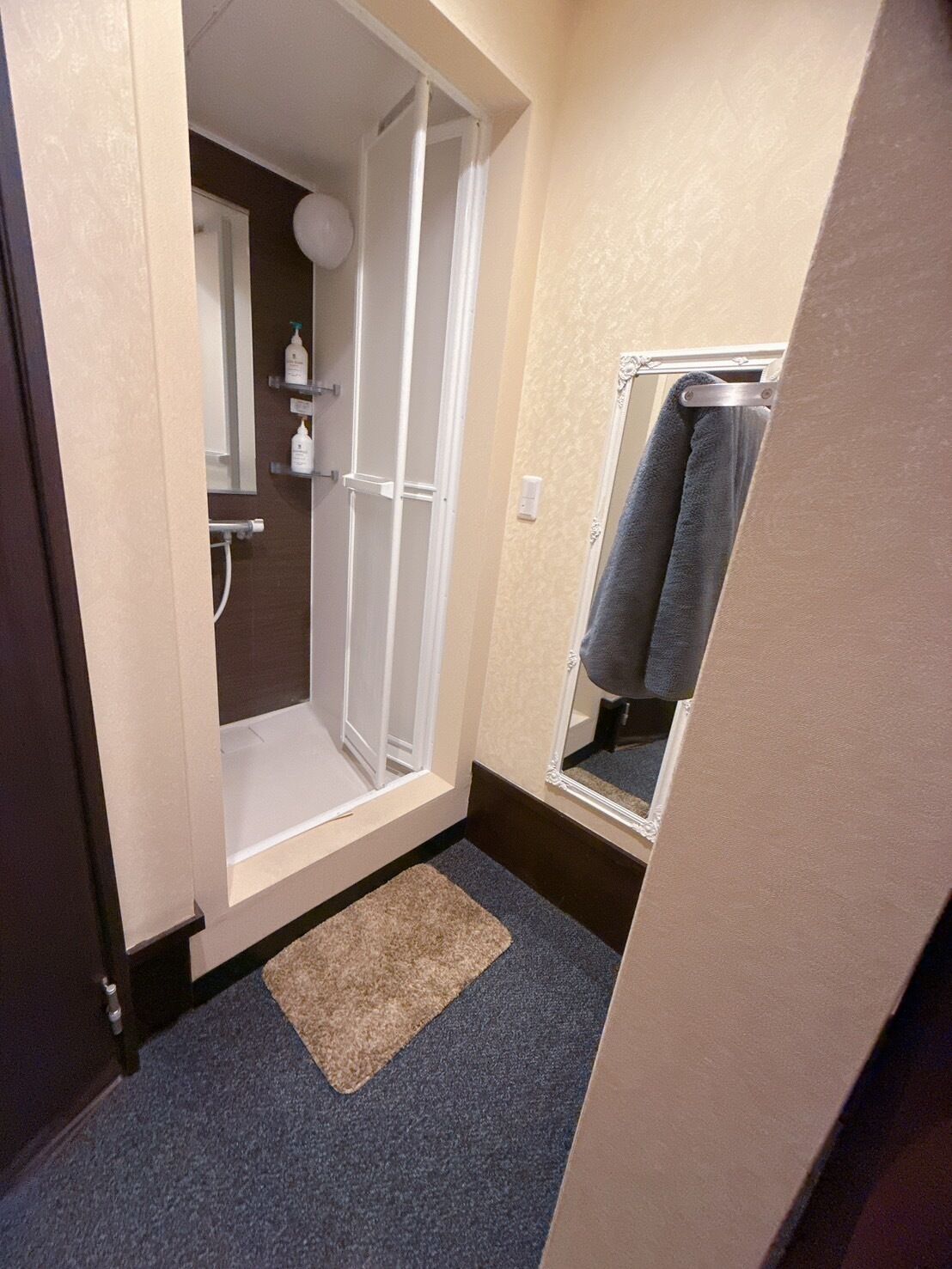 Une petite salle de bain avec une douche, un porte-serviettes et un miroir.