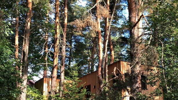 Exterior - New High Quality Chalet Near Colmar, in the Heart of the Wine Route and in the Middle of the Forest (Labaroche)