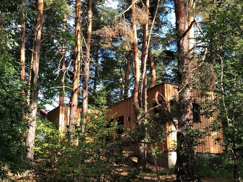New High Quality Chalet Near Colmar, in the Heart of the Wine Route and in the Middle of the Forest