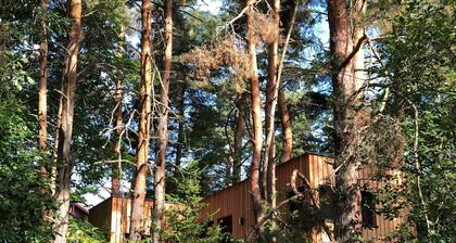 New High Quality Chalet Near Colmar, in the Heart of the Wine Route and in the Middle of the Forest