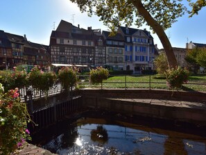 Exterior - New High Quality Chalet Near Colmar, in the Heart of the Wine Route and in the Middle of the Forest (Labaroche)