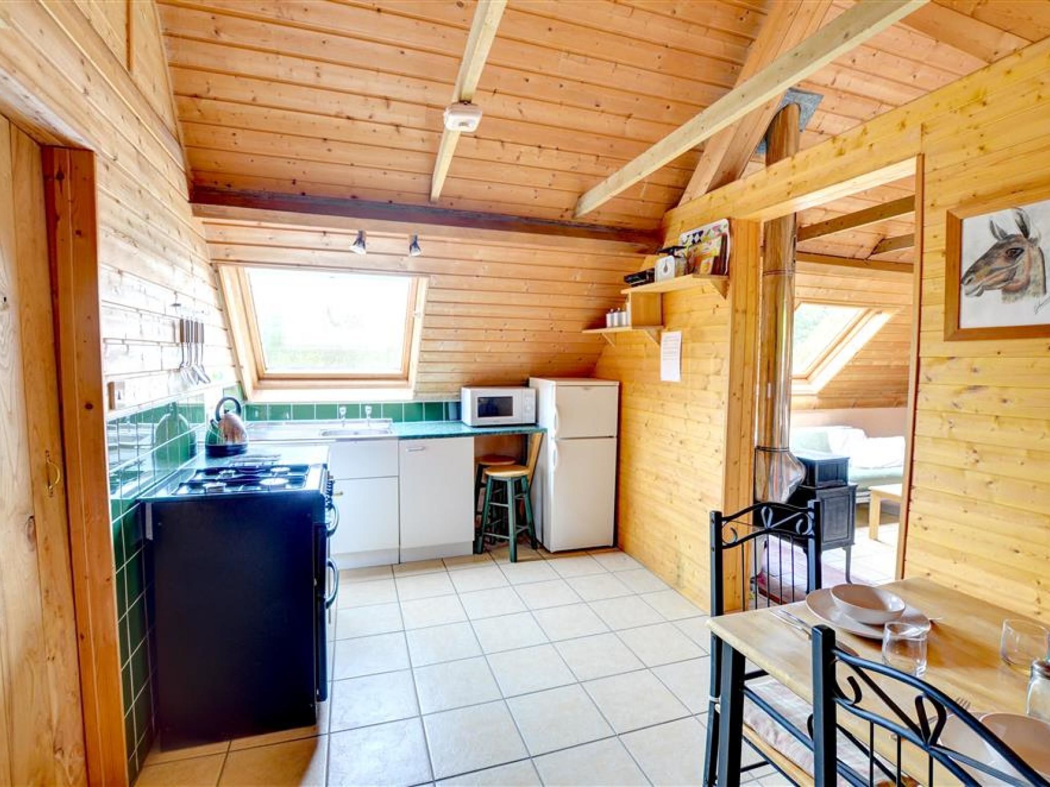 Fridge, oven, stovetop