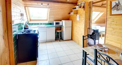 Cozy Apartment in Llandrindod Wells With Large Living Room