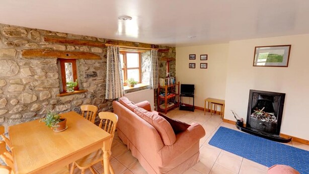 House | Living room | Fireplace, DVD player - Alluring Holiday Home in Llandovery With Garden (Llandovery)