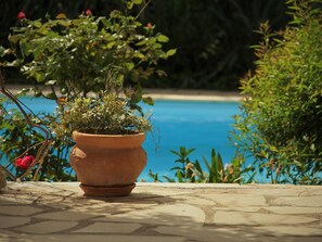 Pool - Spacious Villa With Private Pool in the Heart of Provence! (Flayosc)