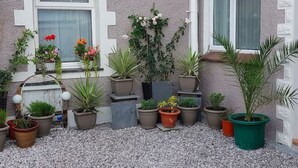 Exterior - Comfortable Holiday Home in Snowdonia With Garden (Caernarfon)