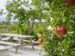 House | Exterior - Holiday Home With Garden in Leonidio (South Kynouria)