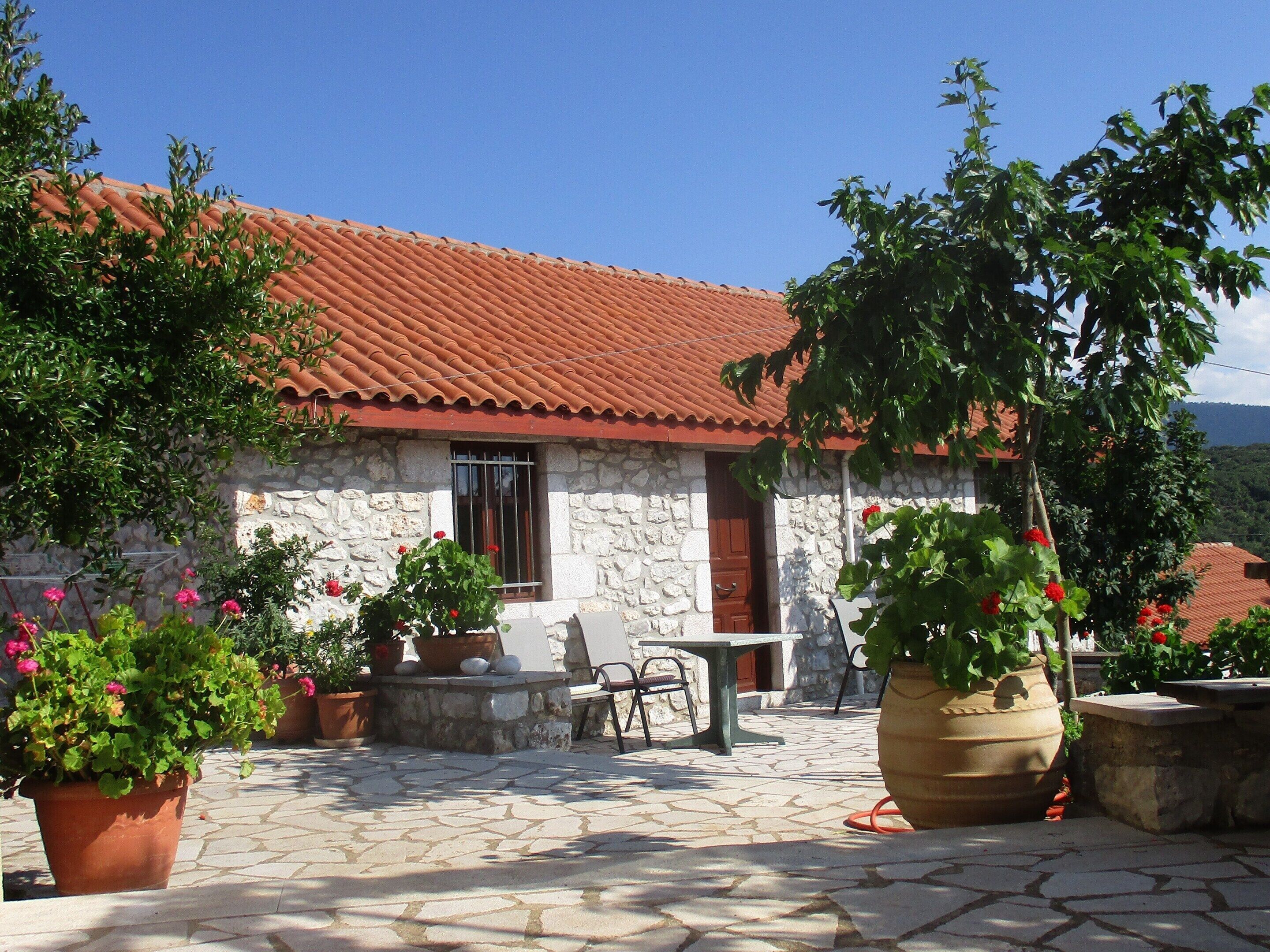 House | Terrace/patio