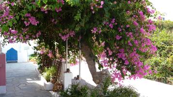 Căn hộ | Ngoại thất