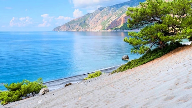 A coastal landscape with a clear view of the sea, sandy beach, and a prominent pine tree. - Modern Villa With Heated Swimming Pool in Georgioupoli Greece (Apokoronas)
