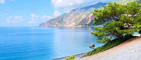 빌라 | 숙박 시설의 전망