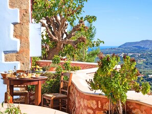 A terrace with a table set for breakfast, a chair, and a large tree providing shade.