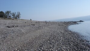 Uma praia de seixos com vegetação rala e céu claro.