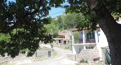 Holiday Home in Starigrad With Garden