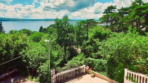 A lush green landscape with a view of a lake and mountains in the distance.