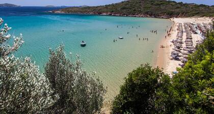 Comfortable Villa Near Sea in Andros