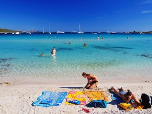 Ferienhaus | Blick von der Unterkunft