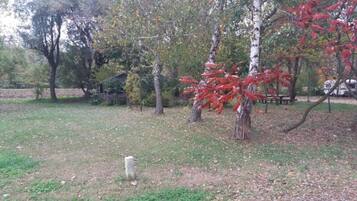 House | View from property