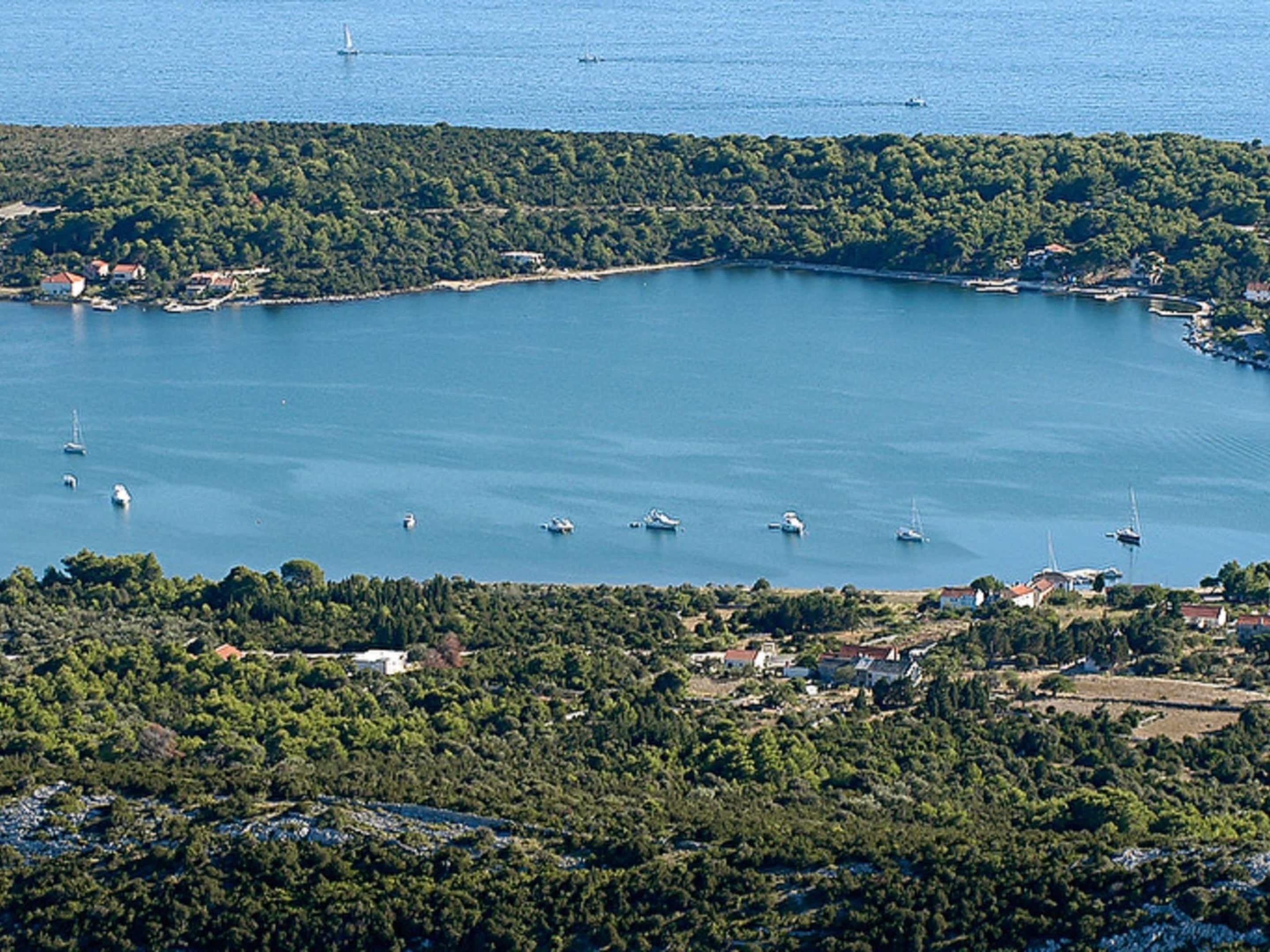 Uma área costeira com um porto, barcos e uma paisagem arborizada.