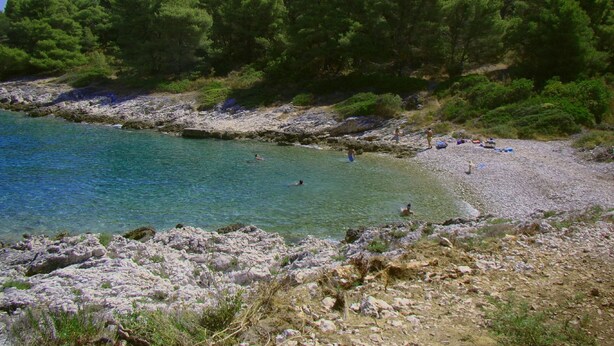 A rocky beach with clear turquoise water, surrounded by dense green trees. - Modern Villa in Grohote With Pool (Solta)