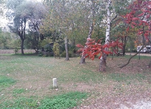 Stroll through a serene natural setting surrounded by trees and a lush green field.