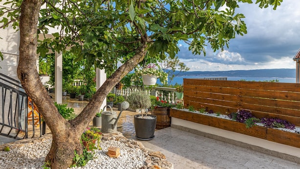 Un patio con un árbol, plantas en macetas, un banco de madera y vistas al mar.