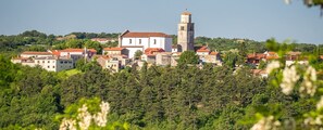 Une ville qui se distingue par son église et son clocher imposants, entourée d’une végétation luxuriante et de bâtiments aux toits rouges.