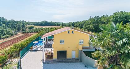 House With Private Pool for 10 People Surrounded by Vineyard in a Quiet Location