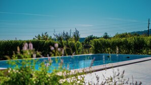 A rectangular swimming pool with a tiled edge, surrounded by lush green hedges and plants. - Charming Villa With Private Pool (Drnis)