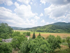 Exterior - Comfortable Apartment With a Shared Swimming Pool for up to 4 Persons (Buzet)
