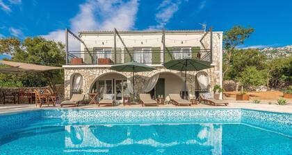 Beautiful Stone Villa With Private Infinity Pool and a Fascinating sea View