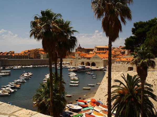 Departamento | Vista desde la propiedad