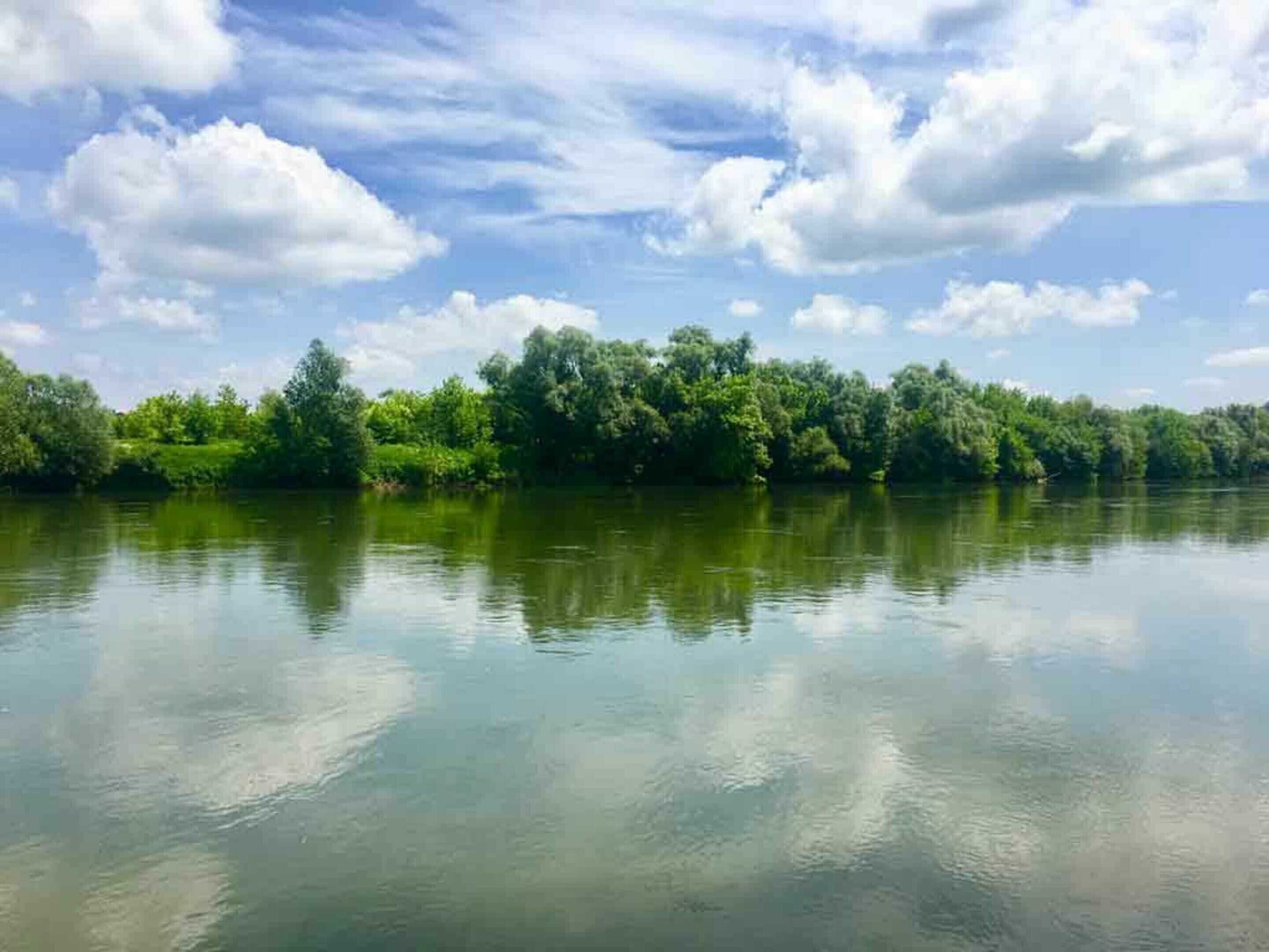 A calm river with dense greenery on the banks and a clear sky.