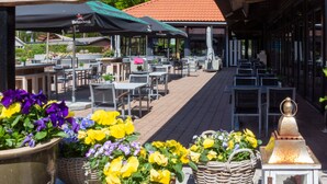An outdoor patio area with tables and chairs, covered by umbrellas, and surrounded by potted plants.